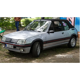 Peugeot 205 CTI - 1990 - Silver